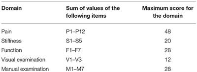 Evidence-Based Veterinary Medicine: A Tool for Evaluating the Healing Process After Surgical Treatment for Cranial Cruciate Ligament Rupture in Dogs